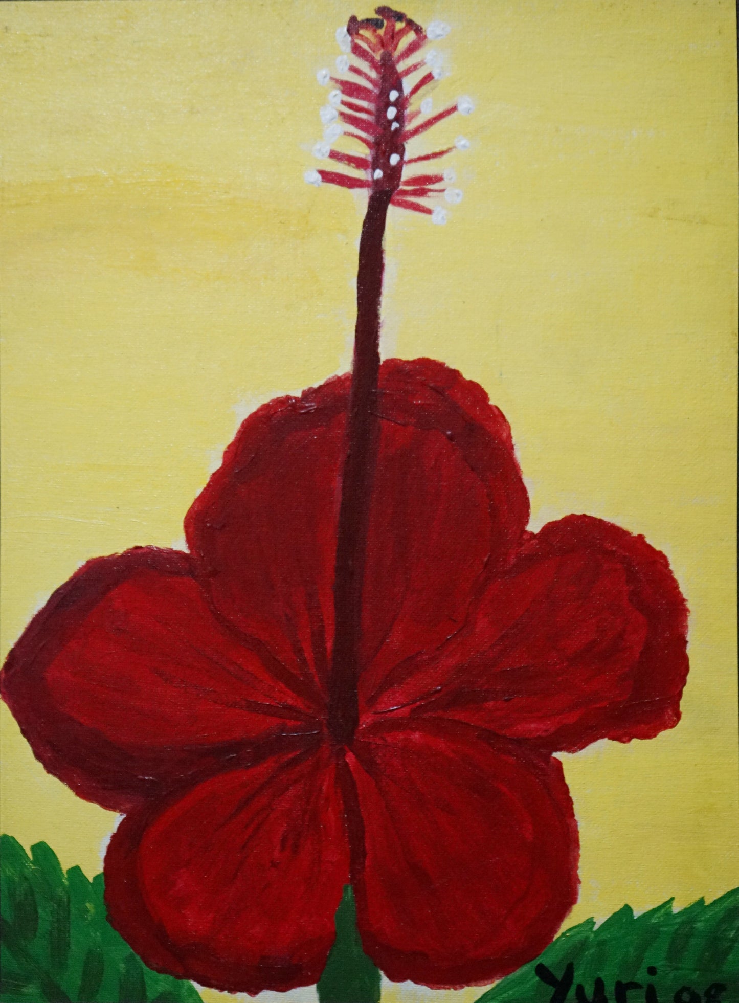 Solitary Hibiscus (29x39cm)