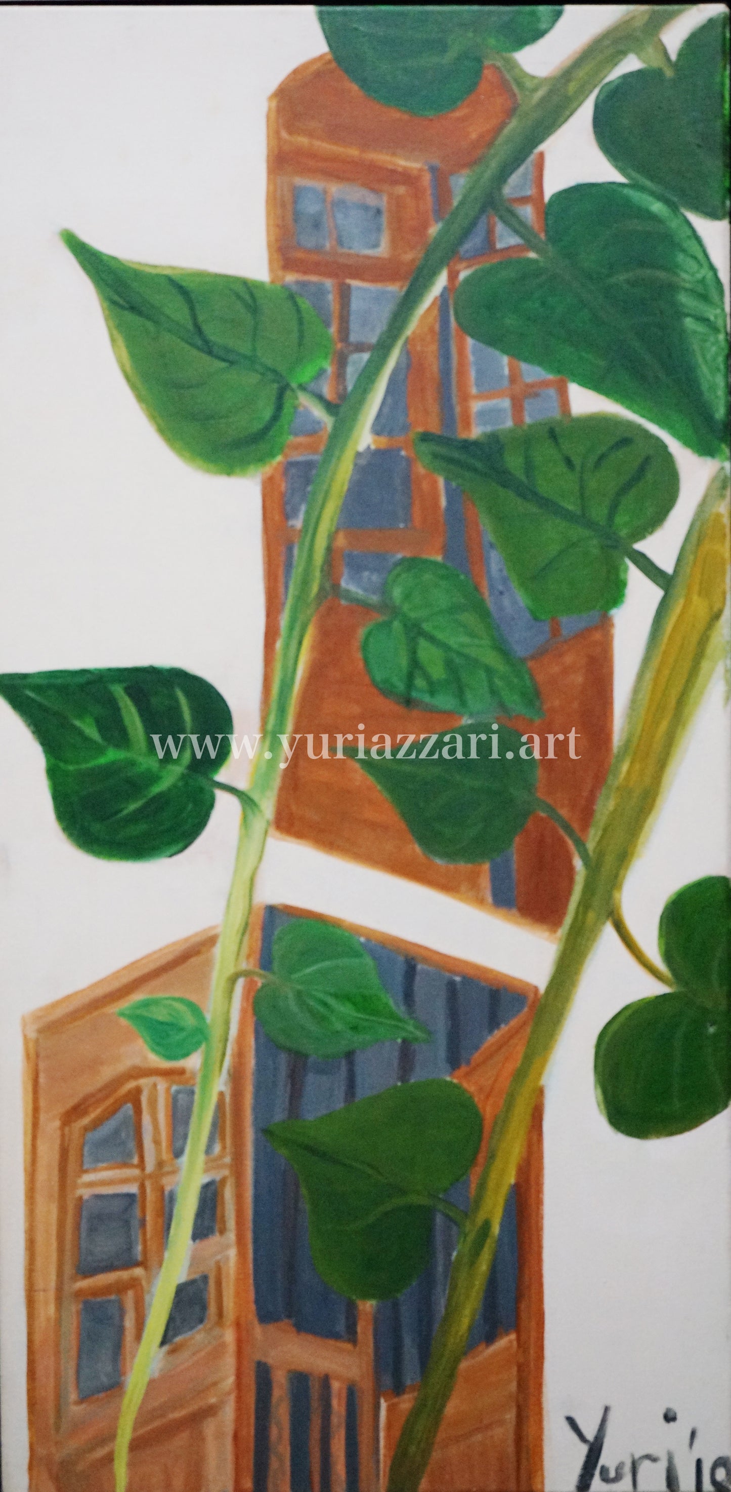 Creeping Vine (40x80cm)